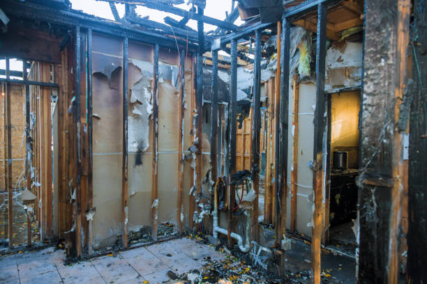 Professional Fire Damage Removal technician working in Zwolle, LA